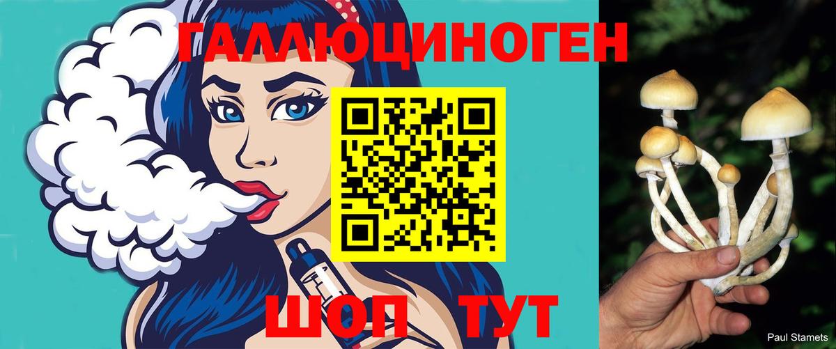 Псилоцибиновые грибы прущие грибы  дарнет шоп  Тольятти  Псилоцибиновые грибы Cubensis  Вход с VPN 